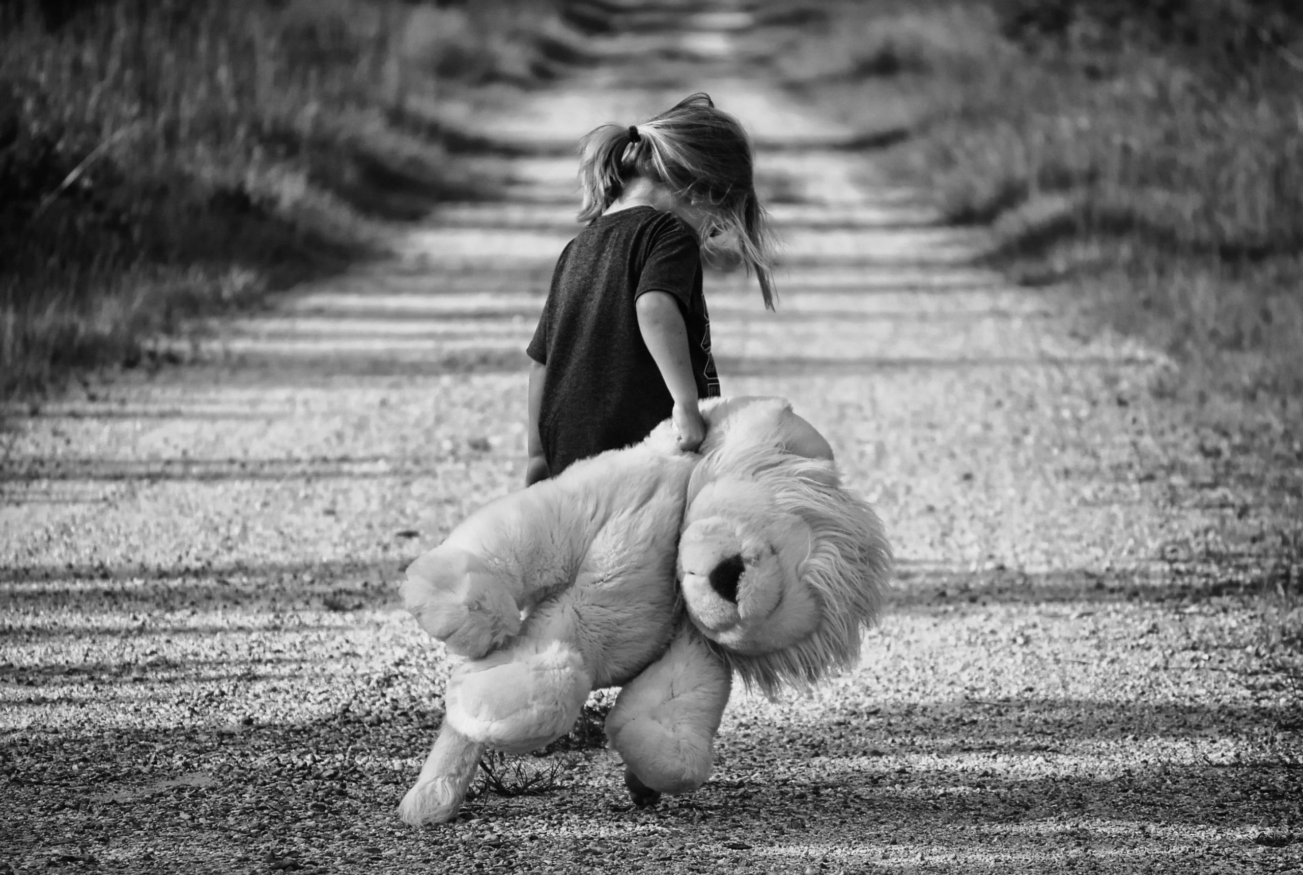 Criança sozinha em uma estrada, de costas e cabeça baixa, segurando um leão de pelúcia